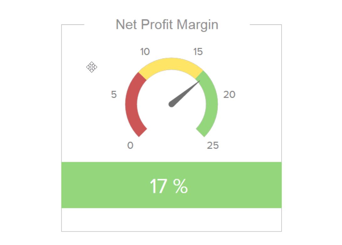 Net Profit Margin
