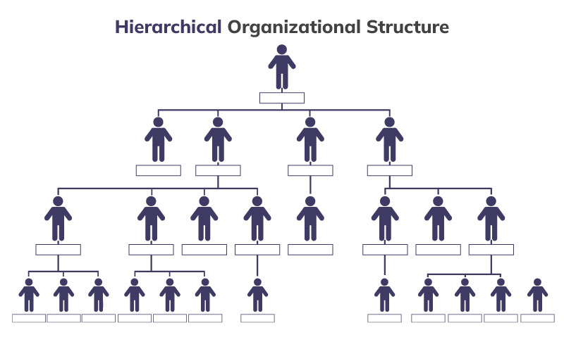 organigramma gerarchico